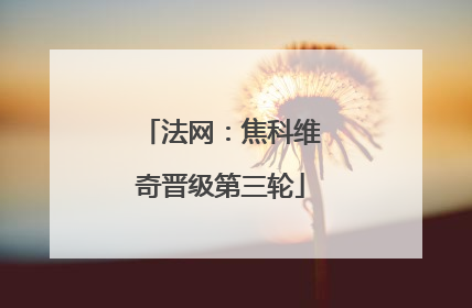 法网：焦科维奇晋级第三轮