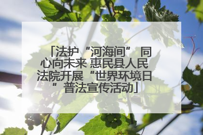 法护“河海间” 同心向未来 惠民县人民法院开展“世界环境日”普法宣传活动