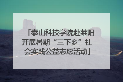 泰山科技学院赴莱阳开展暑期“三下乡”社会实践公益志愿活动