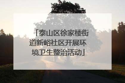 泰山区徐家楼街道新峪社区开展环境卫生整治活动