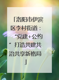洛阳市伊滨区李村街道：“党建+公约”打造共建共治共享新格局