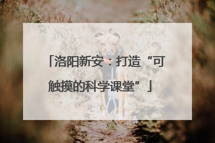 洛阳新安：打造“可触摸的科学课堂”