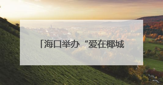 海口举办“爱在椰城 情牵军营”军地青年联谊活动，搭建交流平台深化双拥工作