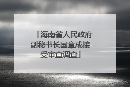 海南省人民政府副秘书长国章成接受审查调查