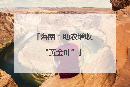 海南：助农增收 “黄金叶”
