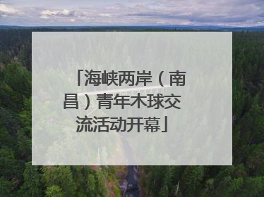 海峡两岸（南昌）青年木球交流活动开幕