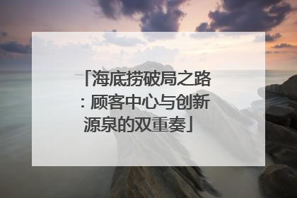 海底捞破局之路：顾客中心与创新源泉的双重奏