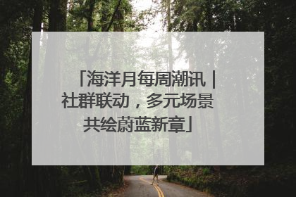 海洋月每周潮讯｜社群联动，多元场景共绘蔚蓝新章