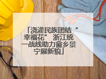 浇灌民族团结“幸福花” 浙江统一战线助力畲乡景宁展新貌