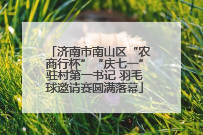 济南市南山区“农商行杯”“庆七一”驻村第一书记 羽毛球邀请赛圆满落幕
