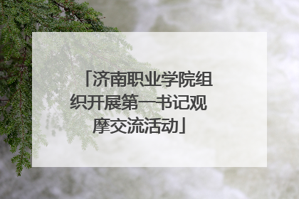 济南职业学院组织开展第一书记观摩交流活动