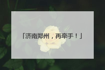济南郑州，再牵手！