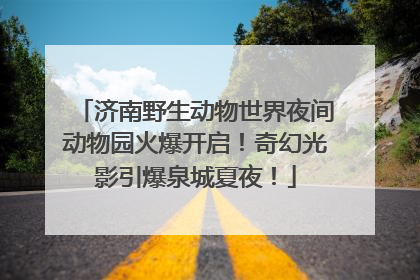 济南野生动物世界夜间动物园火爆开启！奇幻光影引爆泉城夏夜！
