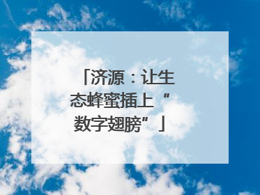 济源：让生态蜂蜜插上“数字翅膀”