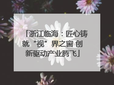 浙江临海：匠心铸就“视”界之窗 创新驱动产业腾飞