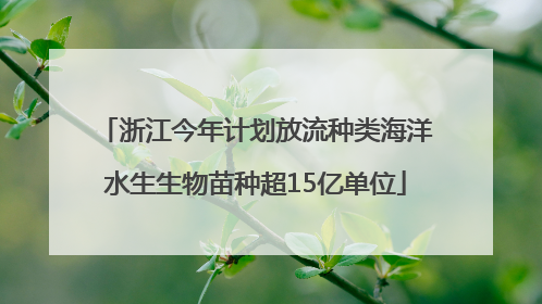 浙江今年计划放流种类海洋水生生物苗种超15亿单位