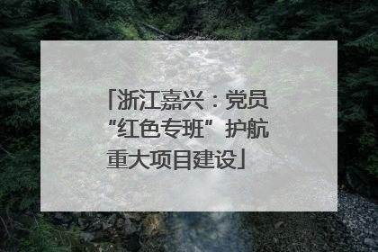 浙江嘉兴：党员“红色专班”护航重大项目建设