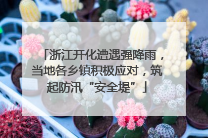 浙江开化遭遇强降雨,当地各乡镇积极应对,筑起防汛“安全堤”