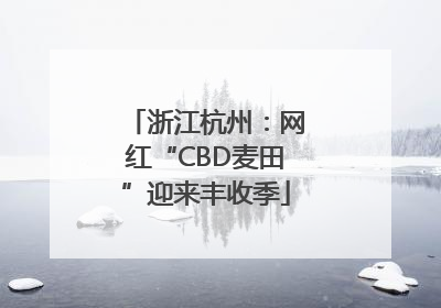 浙江杭州：网红“CBD麦田”迎来丰收季