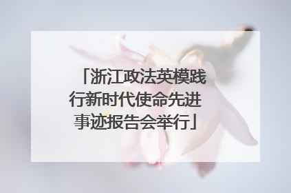 浙江政法英模践行新时代使命先进事迹报告会举行