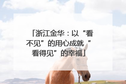 浙江金华：以“看不见”的用心成就“看得见”的幸福