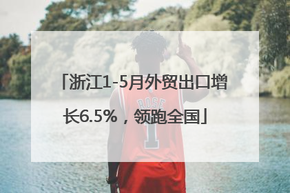 浙江1-5月外贸出口增长6.5%，领跑全国