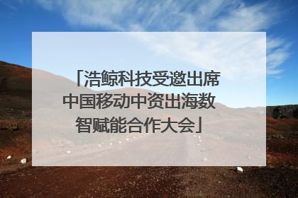 浩鲸科技受邀出席中国移动中资出海数智赋能合作大会