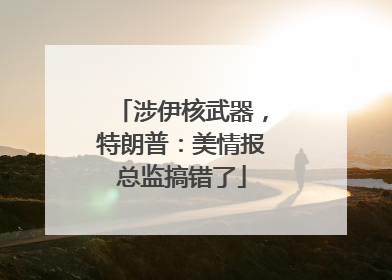 涉伊核武器，特朗普：美情报总监搞错了