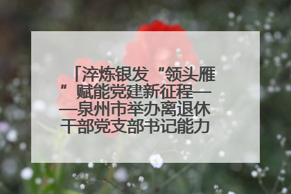 淬炼银发“领头雁”赋能党建新征程——泉州市举办离退休干部党支部书记能力建设专题培训