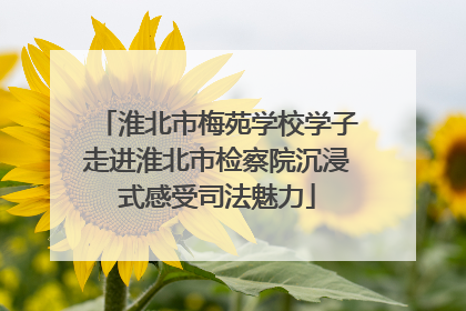 淮北市梅苑学校学子走进淮北市检察院沉浸式感受司法魅力