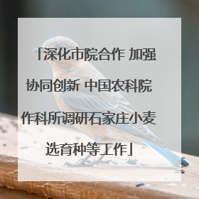 深化市院合作 加强协同创新 中国农科院作科所调研石家庄小麦选育种等工作