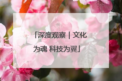 深度观察｜文化为魂 科技为翼