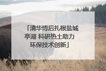 清华博后扎根盐城亭湖 科研热土助力环保技术创新