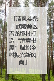 清风头条｜武陵源区青龙垭村打造“清廉书屋”赋能乡村振兴新风尚