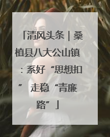 清风头条｜桑植县八大公山镇：系好“思想扣” 走稳“青廉路”
