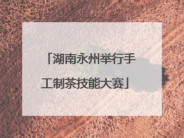 湖南永州举行手工制茶技能大赛