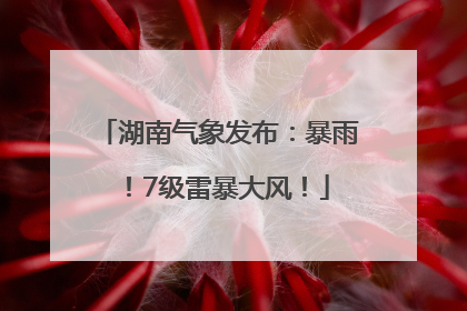湖南气象发布：暴雨！7级雷暴大风！