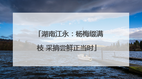 湖南江永：杨梅缀满枝 采摘尝鲜正当时