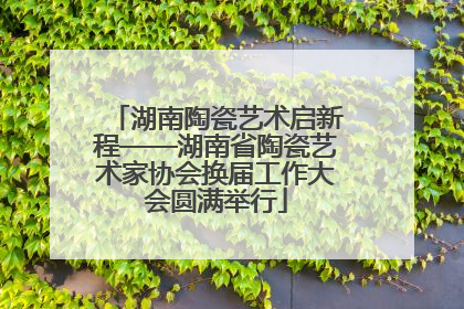 湖南陶瓷艺术启新程——湖南省陶瓷艺术家协会换届工作大会圆满举行