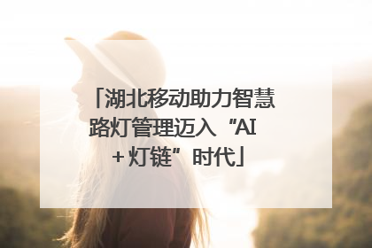 湖北移动助力智慧路灯管理迈入“AI＋灯链”时代