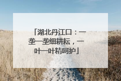 湖北丹江口：一垄一垄细耕耘，一叶一叶精呵护