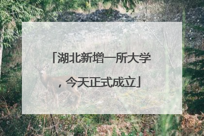 湖北新增一所大学，今天正式成立