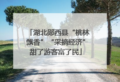 湖北郧西县“桃林飘香”“采摘经济”甜了游客富了民