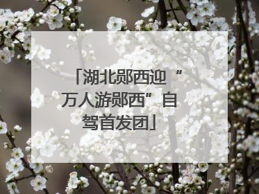 湖北郧西迎“万人游郧西”自驾首发团