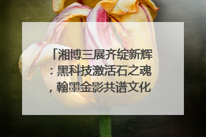 湘博三展齐绽新辉：黑科技激活石之魂，翰墨金影共谱文化遗产日华章
