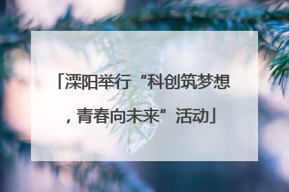 溧阳举行“科创筑梦想，青春向未来”活动