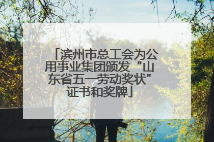 滨州市总工会为公用事业集团颁发“山东省五一劳动奖状”证书和奖牌