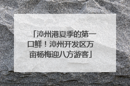 漳州港夏季的第一口鲜！漳州开发区万亩杨梅迎八方游客