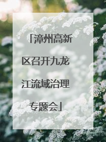 漳州高新区召开九龙江流域治理专题会