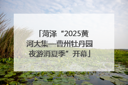 菏泽“2025黄河大集—曹州牡丹园夜游消夏季”开幕
